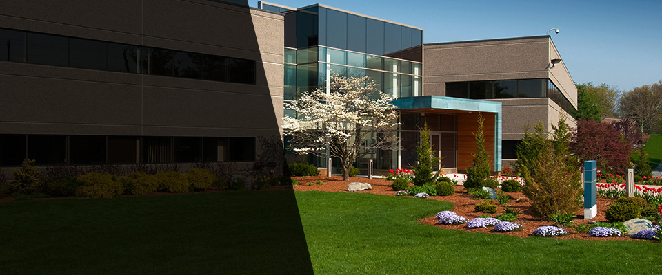 Maple Falls Landscapers