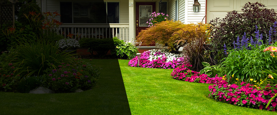 Maple Falls Landscapers