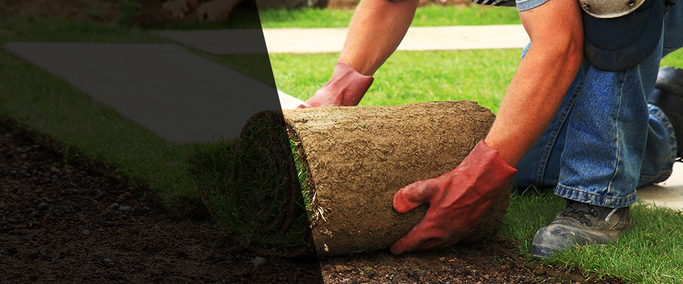 Maple Falls Landscapers